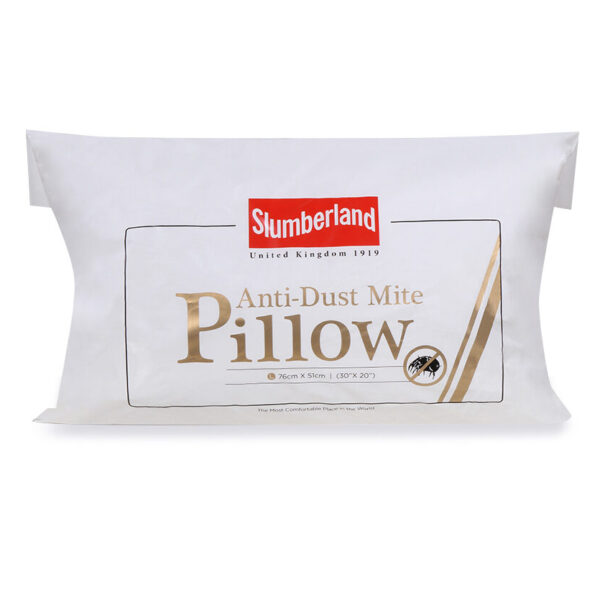 SL ADM Pillow8 e1600010010887